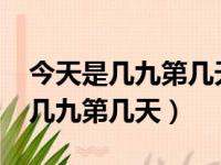 今天是几九第几天了2021农历（日历今天是几九第几天）