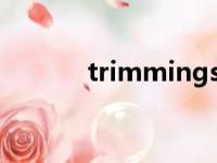 trimmings翻译（trimming）