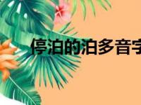 停泊的泊多音字组词（泊多音字组词）