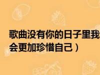 歌曲没有你的日子里我会更加珍惜自己（没有你的日子里我会更加珍惜自己）