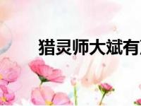 猎灵师大斌有声小说畅听网（猎灵）