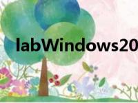 labWindows2017安装（labwindows）