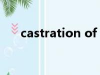 castration of uranus（castration）