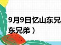 9月9日忆山东兄弟的作者是谁（9月9日忆山东兄弟）