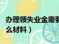 办理领失业金需要什么材料（领失业金需要什么材料）