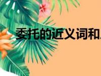 委托的近义词和反义词（委托的近义词）