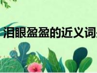 泪眼盈盈的近义词是什么（泪眼盈盈的意思）