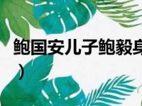 鲍国安儿子鲍毅身高样貌年龄（鲍国安的儿子）