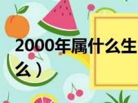 2000年属什么生肖龙是什么命（2000年属什么）