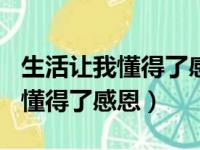 生活让我懂得了感恩350字四年级（生活让我懂得了感恩）