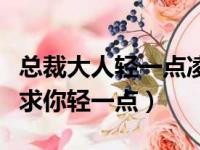 总裁大人轻一点凌御行苏千乘（一夜孽情总裁求你轻一点）