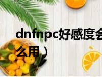 dnfnpc好感度会掉吗（dnfnpc好感度有什么用）