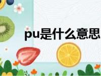 pu是什么意思医学（pu是什么意思）