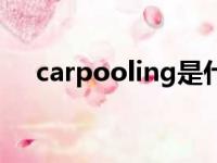 carpooling是什么意思（carpooling）