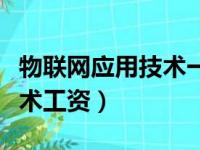 物联网应用技术一个月多少钱（物联网应用技术工资）