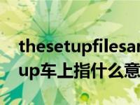 thesetupfilesarecorrupted什么意思（setup车上指什么意思）