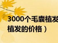 3000个毛囊植发的价格新生8（3000个毛囊植发的价格）