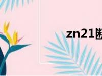 zn21断路器（zn21）