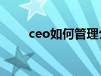 ceo如何管理公司（如何管理公司）