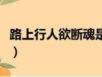 路上行人欲断魂是什么意思（路上行人欲断魂）