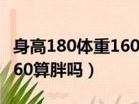 身高180体重160穿什么尺码（身高180体重160算胖吗）