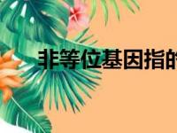 非等位基因指的是什么（非等位基因）