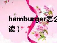 hamburger怎么读英语（hamburger怎么读）