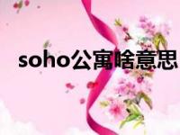 soho公寓啥意思（soho公寓是什么意思）