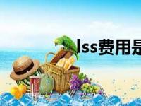 lss费用是什么意思（lss）