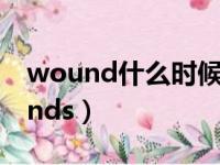 wound什么时候可数什么时候不可数（wounds）