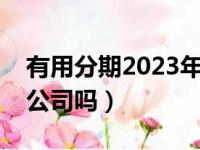 有用分期2023年最新消息（有用分期是正规公司吗）