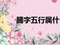 腾字五行属什么（月字五行属什么）