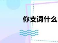 你支词什么（你支是什么意思）