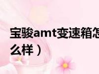 宝骏amt变速箱怎么换挡（宝骏amt变速箱怎么样）