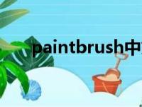 paintbrush中文谐音（paintbrush）