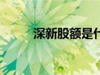 深新股额是什么意思（深新股额）