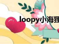 loopy小海狸是什么动漫（loop）