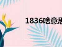 1836啥意思（1836什么意思）