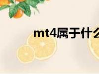 mt4属于什么平台（mt4是什么）