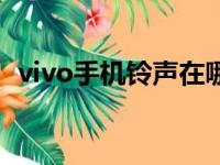 vivo手机铃声在哪里设置（vivo手机铃声）