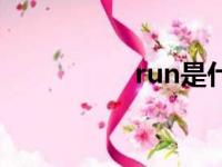 run是什么意思（run）