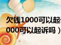 欠钱1000可以起诉吗没有身份证号码（欠钱1000可以起诉吗）