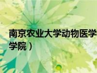 南京农业大学动物医学院研究生官网（南京农业大学动物医学院）