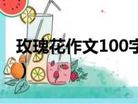 玫瑰花作文100字三年级（玫瑰花作文100字）