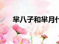 芈八子和芈月什么关系（芈八子简介）