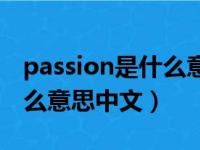 passion是什么意思中文翻译（passion是什么意思中文）