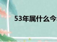 53年属什么今年多大（53年属什么）