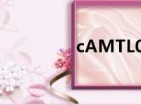 cAMTL00H（camtl00）