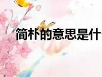 简朴的意思是什么四年级（简朴的意思）