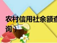 农村信用社余额查询电话（农村信用社余额查询）